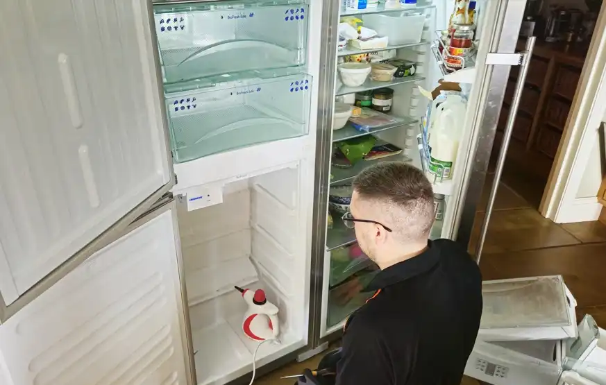 Fridge Freezer Servicing
